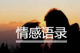 上街调查取证：夫妻一方私自卖房的行为是否有效